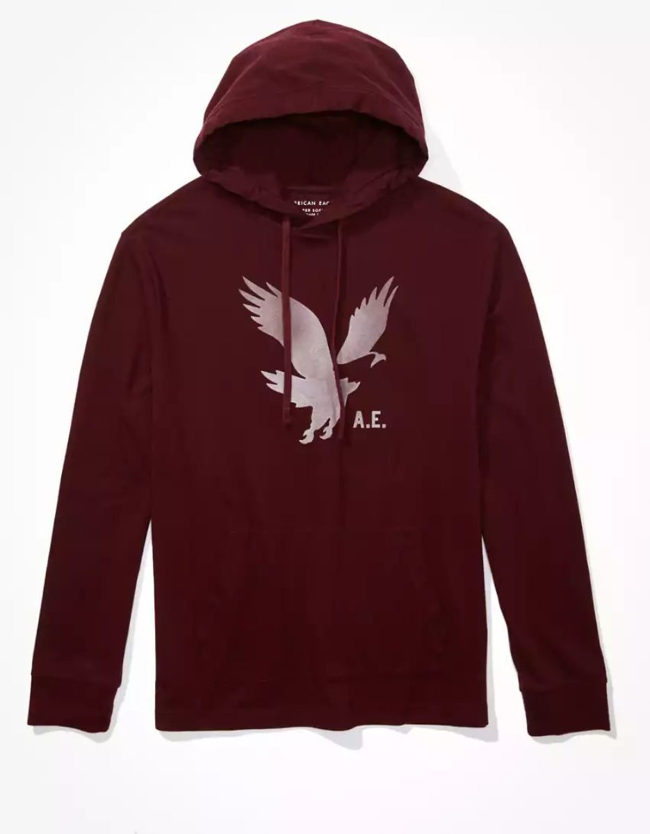 Sweat à Capuche American Eagle AE Super Soft Logo Graphique Bordeaux Homme | DPR-81900320